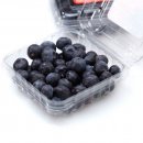 智利优选蓝莓盒装125g*1