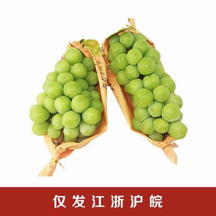 日本品种晴王葡萄2-2.5斤(2串)